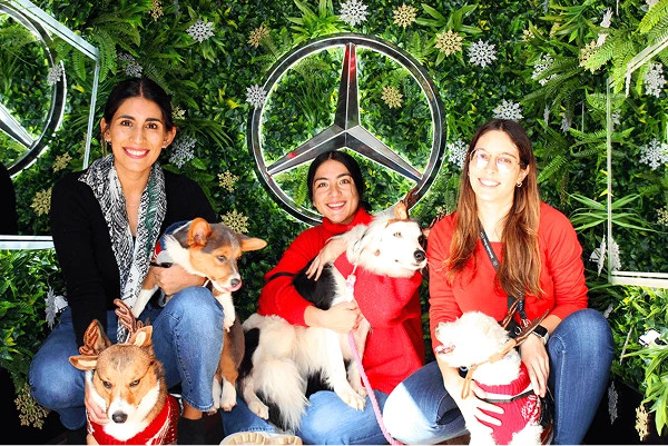 Posed guest photo with dogs â€